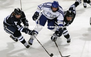 FB体育官网-竞技之巅绽放华彩 赛场内外共绘动人画卷