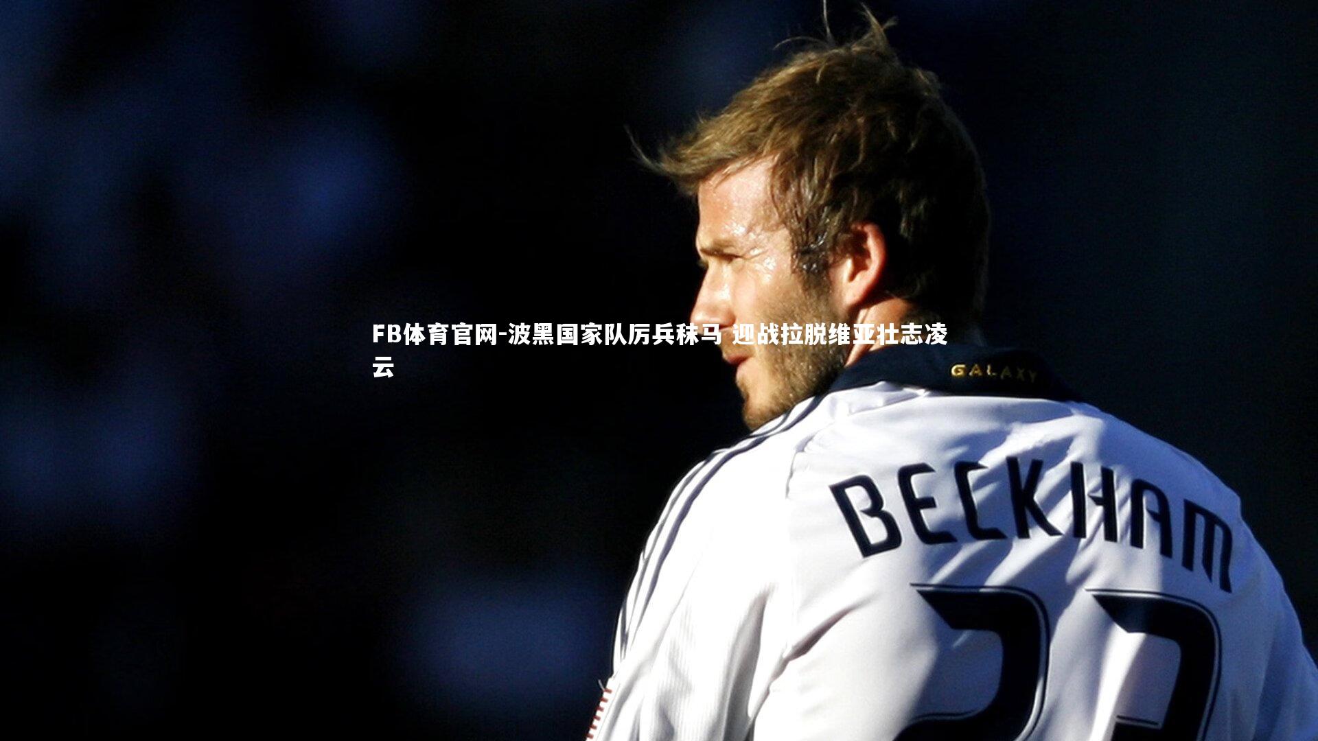 FB体育官网-波黑国家队厉兵秣马 迎战拉脱维亚壮志凌云-第2张图片-FB体育官网