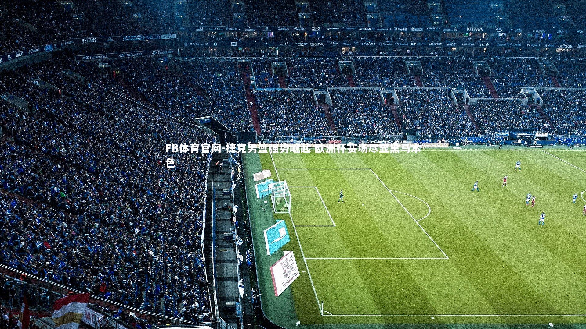 FB体育官网-捷克男篮强势崛起 欧洲杯赛场尽显黑马本色-第2张图片-FB体育官网 FB体育官网-捷克男篮强势崛起 欧洲杯赛场尽显黑马本色-第2张图片-FB体育官网